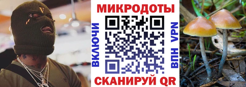 Псилоцибиновые грибы Cubensis  дарнет шоп  Благовещенск 