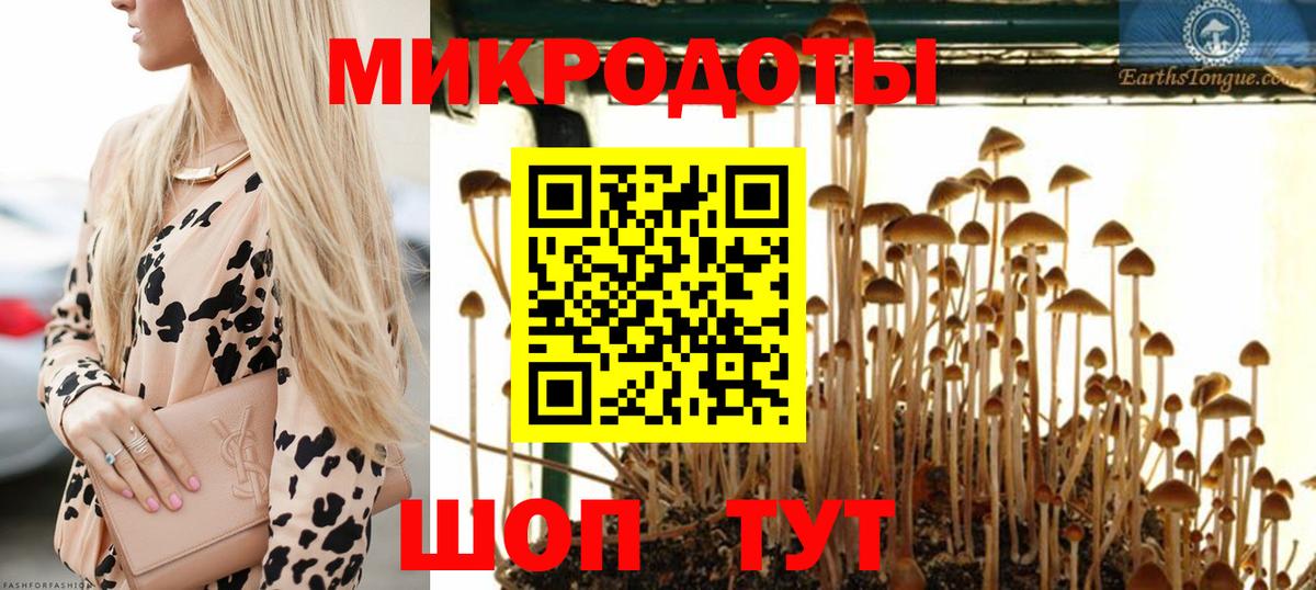 Псилоцибиновые грибы ЛСД Благовещенск