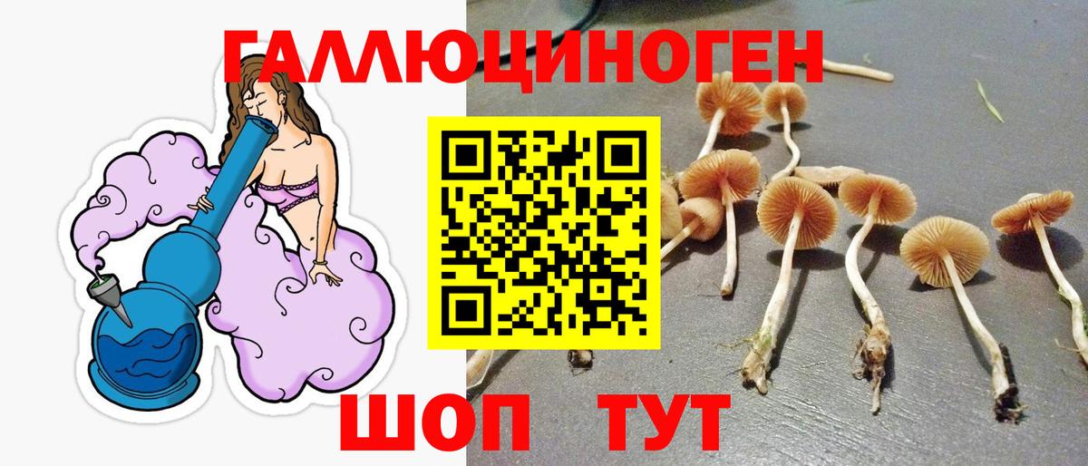 Благовещенск  Галлюциногенные грибы ЛСД  наркотики  Вход с VPN 